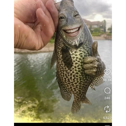 Figurinha: Peixe Sorridente