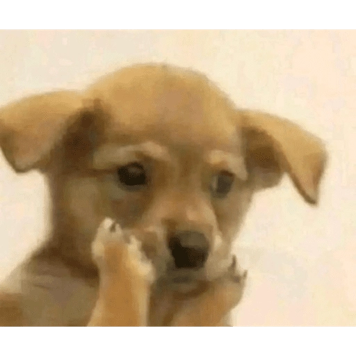 Figurinha: Cachorrinho Pensativo