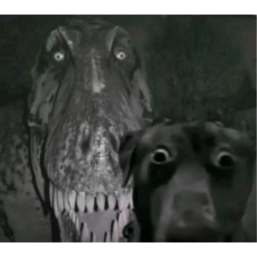 Figurinha: Cachorro e Dinossauro assustados