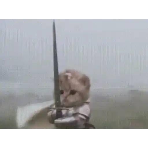 Figurinha: Gatinho Guerreiro