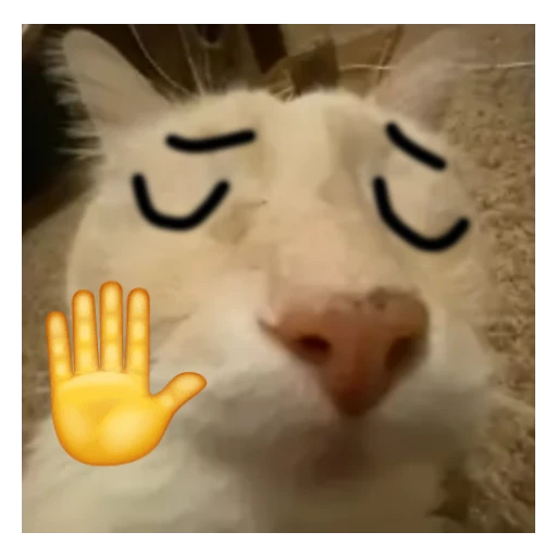 Figurinha: Gato com emoji de mão