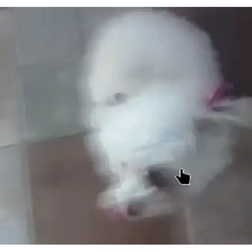 Figurinha: Cachorrinho fofo girando