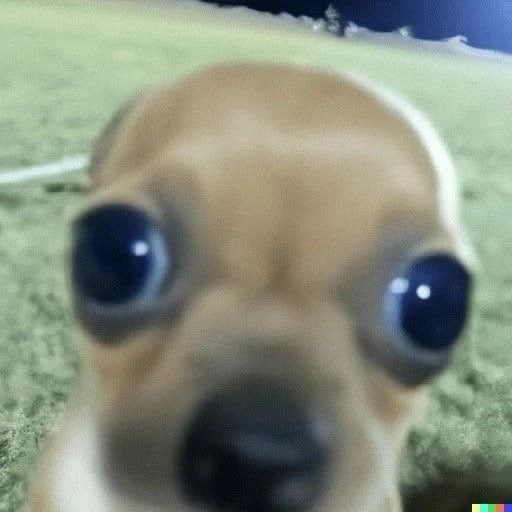 Figurinha: Chihuahua engraçado