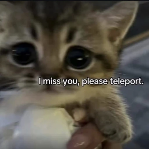 Sticker: I miss you, please teleport