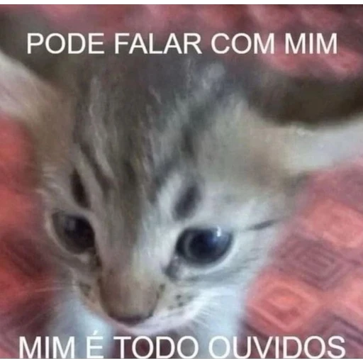 Figurinha: Pode falar com mim