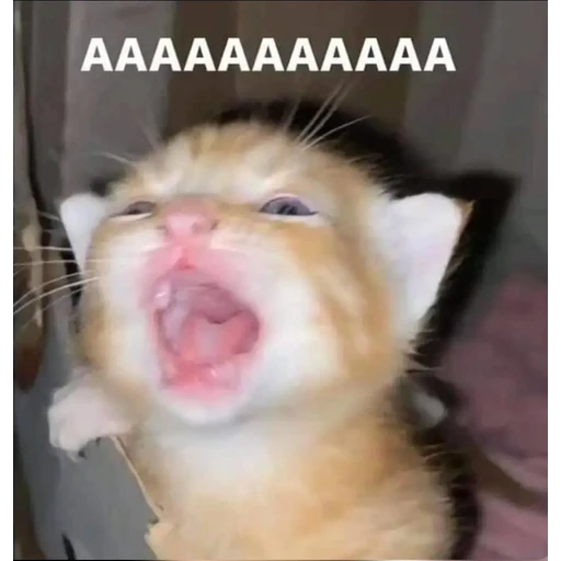 Figurinha: AAAAAAAAAA