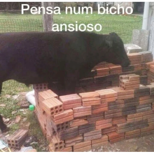 Figurinha: Pensa num bicho ansioso