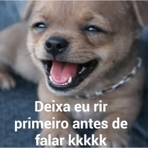 Sticker: Let me laugh first