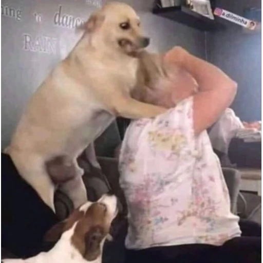 Figurinha: Cachorrinho engraçado