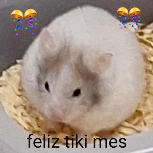 Figurinha: Feliz tiki mes
