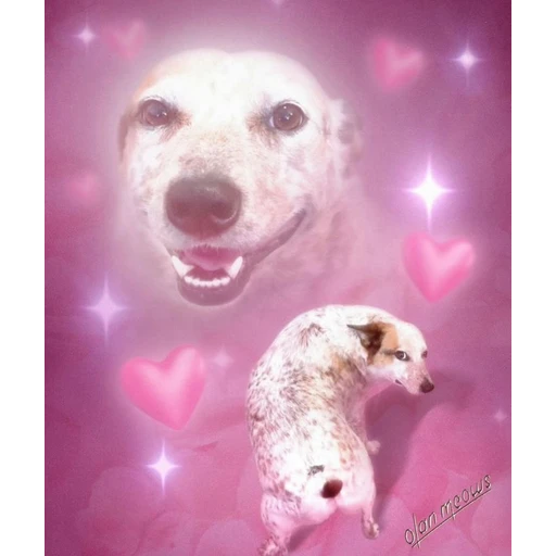 Figurinha: Cachorrinho fofo com corações