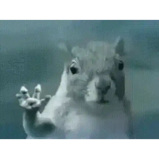 Figurinha: Esquilo dando tchau