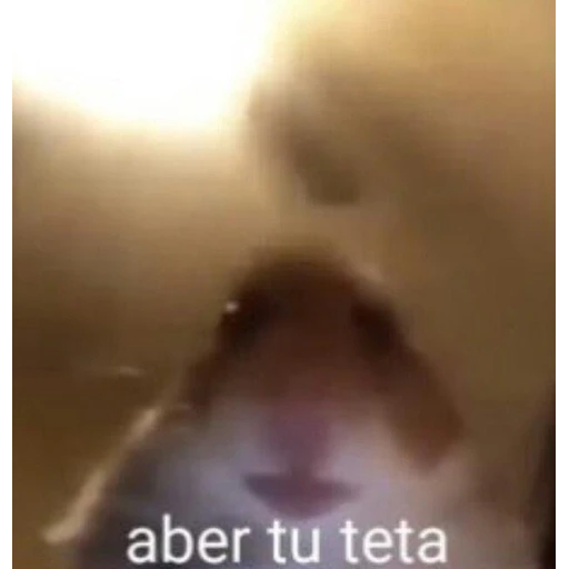 Sticker: Aber tu teta