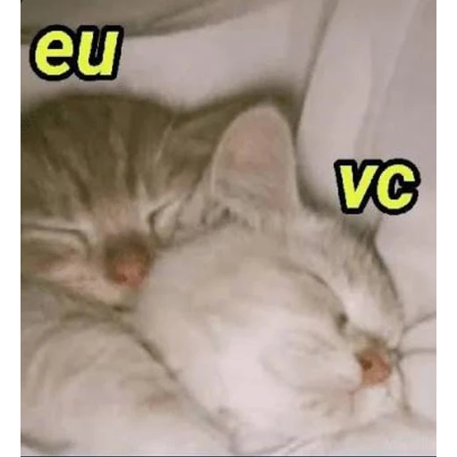 Figurinha: Eu e você