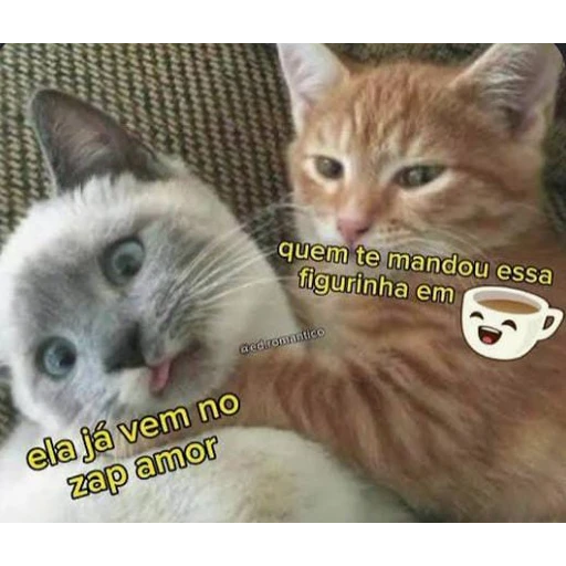 Figurinha: Ela já vem no zap amor