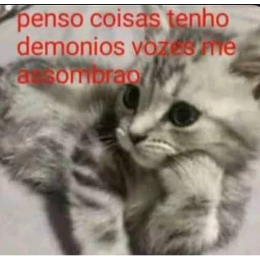 Figurinha: Gatinho pensativo