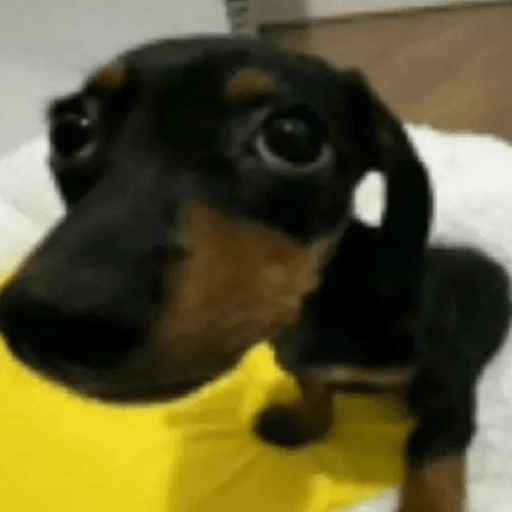 Figurinha: Cachorrinho engraçado