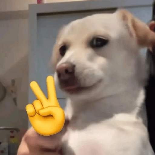 Figurinha: Cachorrinho fazendo sinal de paz