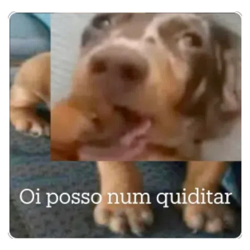 Figurinha: Oi posso num quiditar