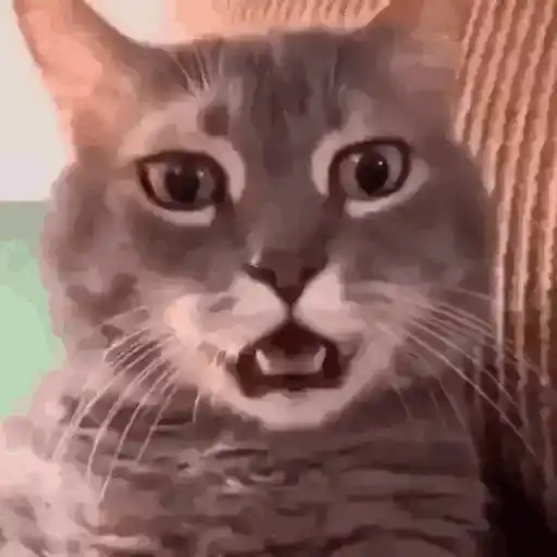 Figurinha: Gato Surpreso