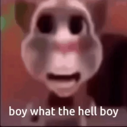 Figurinha: Boy What The Hell Boy