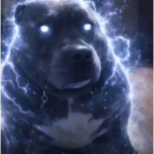 Figurinha: Cachorro com superpoderes