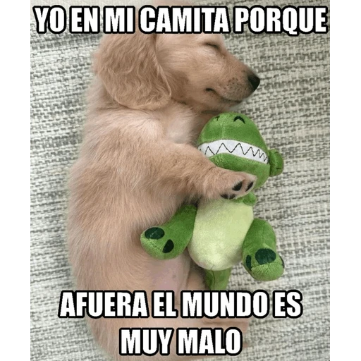 Figurinha: Cachorrinho dormindo com dinossauro