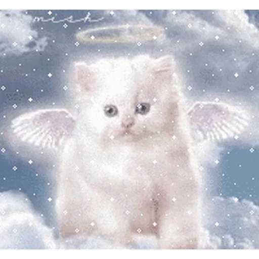 Figurinha: Gatinho Anjo