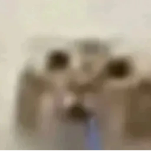Figurinha: Gato Chocado