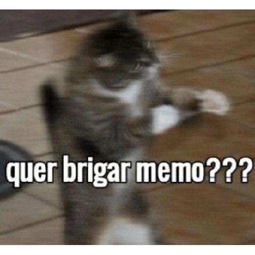 Figurinha: Quer brigar memo???