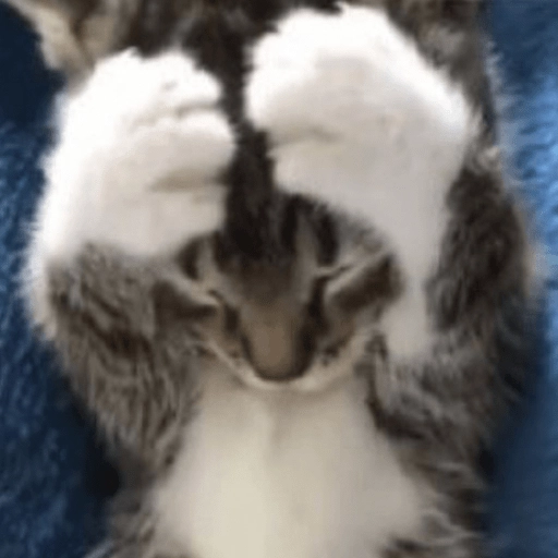 Figurinha: Gatinho Tímido