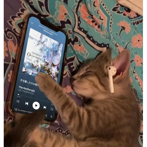 Figurinha: Gatinho ouvindo música