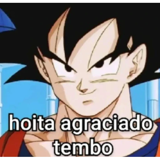 Figurinha: Goku Hoita Agraciado Tembo