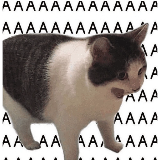 Figurinha: Gato gritando AAAAAA