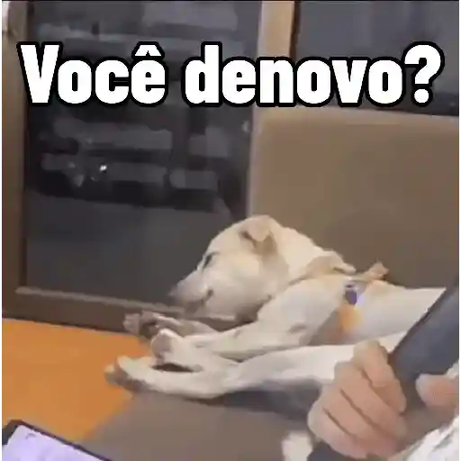Figurinha: Cachorro: Você denovo?