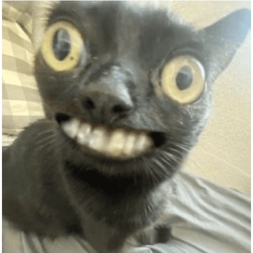 Figurinha: Gato Sorridente