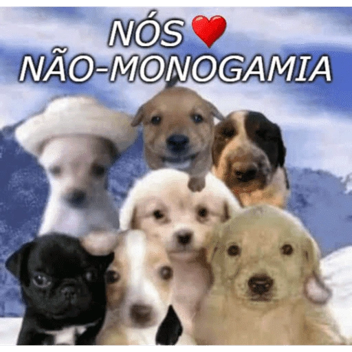 Figurinha: Nós não-monogamia