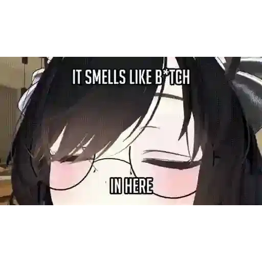 Sticker: It smells like b*tch in here