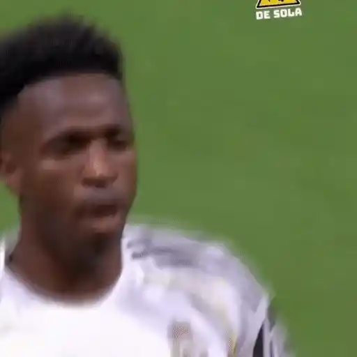 Sticker: Vini Jr celebrating