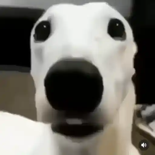 Figurinha: Cachorro Assustado Pixelado