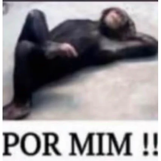 Figurinha: POR MIM !!