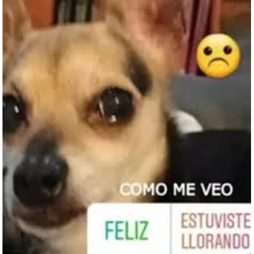 Figurinha: Como me veo?